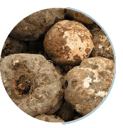 Ignitra Supplement Ingredients