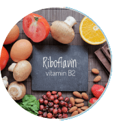 Ignitra Supplement Ingredients